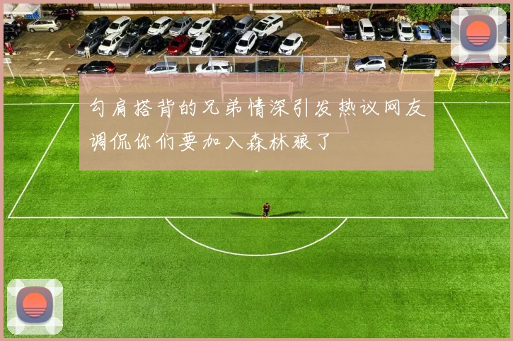 勾肩搭背的兄弟情深引发热议网友调侃你们要加入森林狼了