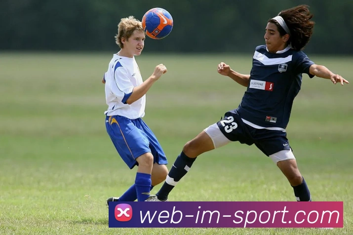 IM体育平台生态图